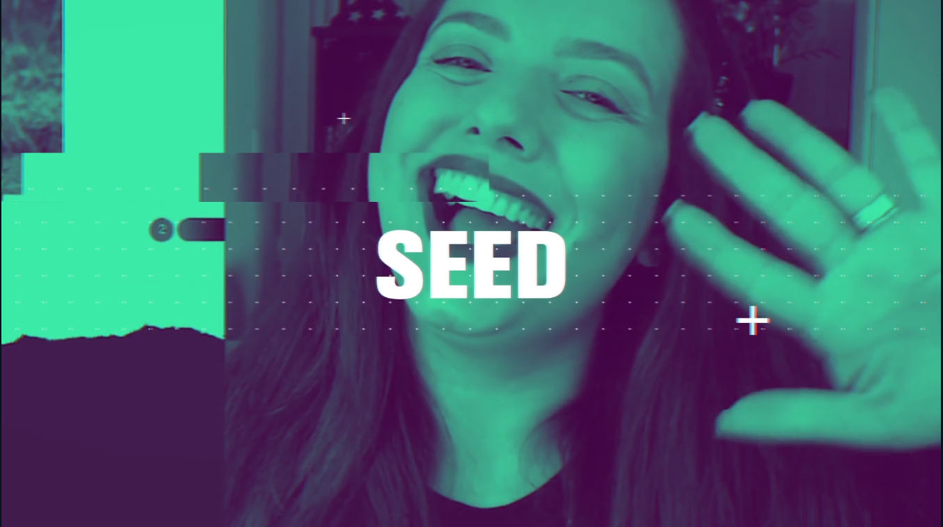 Planejamento estratégico tático e operacional: guia prático - Seed Plus